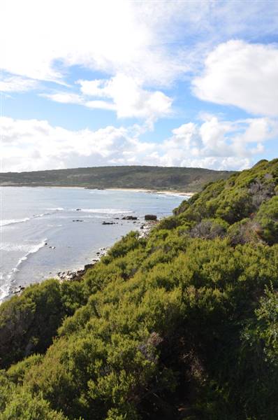 Gracetown (26/03/2015)