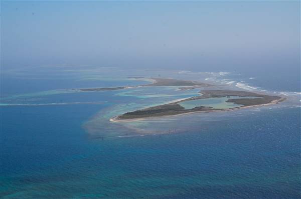 Abrolhos Islands - West Wallabi Island (15/12/2015 - Credits: Chris Veerhuis)