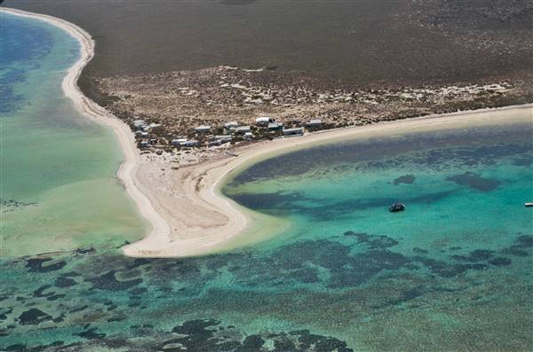Abrolhos Islands - West Wallabi Island (15/12/2015 - Credits: Chris Veerhuis)