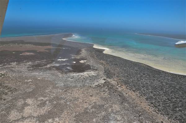 Abrolhos Islands - West Wallabi Island (15/12/2015 - Credits: Chris Veerhuis)