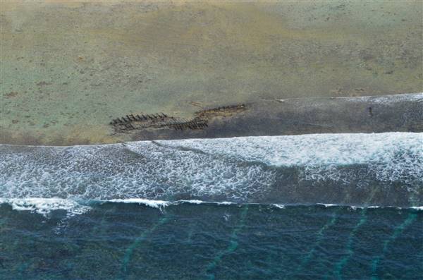 Abrolhos Islands - Pelsaert Island (15/12/2015)