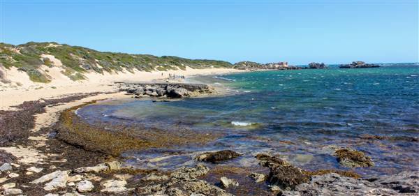 Cape Peron - Rockingham - from land (21/12/2015 - Credits: Chris Veerhuis)