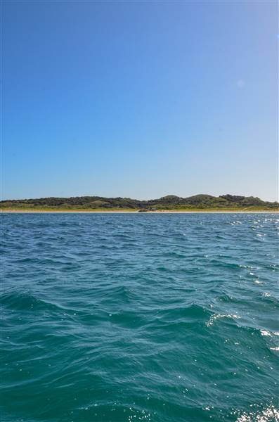 Garden Island - Ewing Bay (22/12/2015 - Credits: Chris Veerhuis)