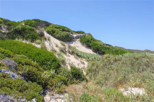 Garden Island - Gilbert Point - from land (22/12/2015 - Credits: Chris Veerhuis)