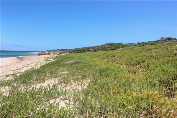 Garden Island - Gilbert Point - from land (22/12/2015 - Credits: Chris Veerhuis)