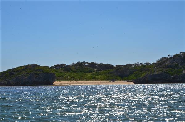 Garden Island - Calista Point - from water (22/12/2015 - Credits: Chris Veerhuis)