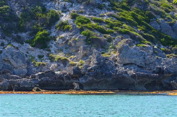 Garden Island - Calista Point - from water (22/12/2015 - Credits: Chris Veerhuis)