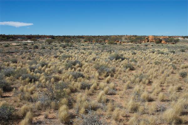 Mount Magnet landscapes (7/07/2016 - Credits: Tim Burns)