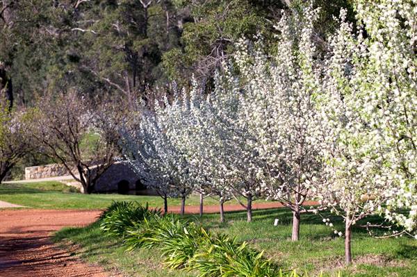 Millbrook Winery (5/09/2016)