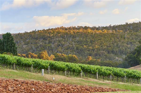 Millbrook Winery (5/09/2016)
