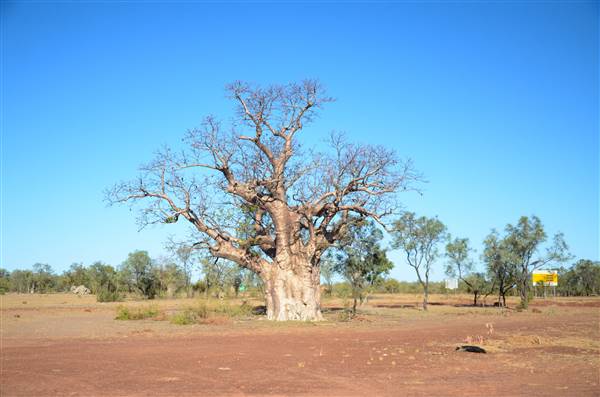 Derby - road from Broome to Derby (22/09/2016 - Credits: Chris Veerhuis)