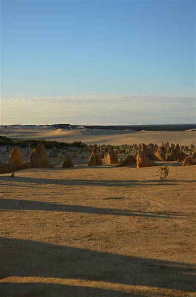 Pinnacles - Nambung National Park (27/06/2016 - Credits: Chris Veerhuis)