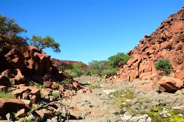 Karratha Surrounds - Pilbara (3/10/2016 - Credits: Chris Veerhuis)