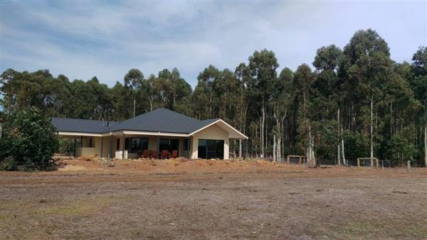 Witchcliffe - Redgate Forest Retreat (1/11/2016)