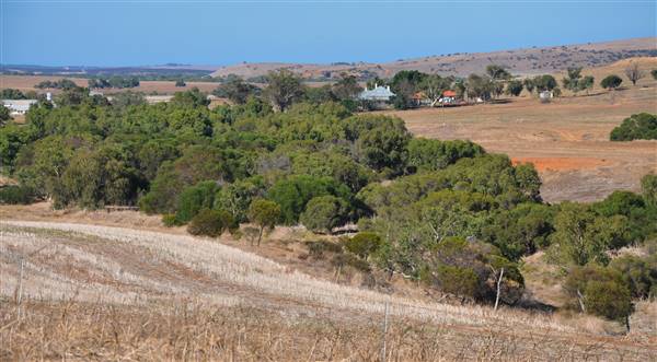 Chapman Valley - Glengarry Station (3/05/2017 - Credits: Chris Veerhuis)