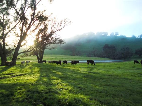 Nannup - Xmas Brook Farm (3/05/2017 - Credits: Kerrie Dunnet)