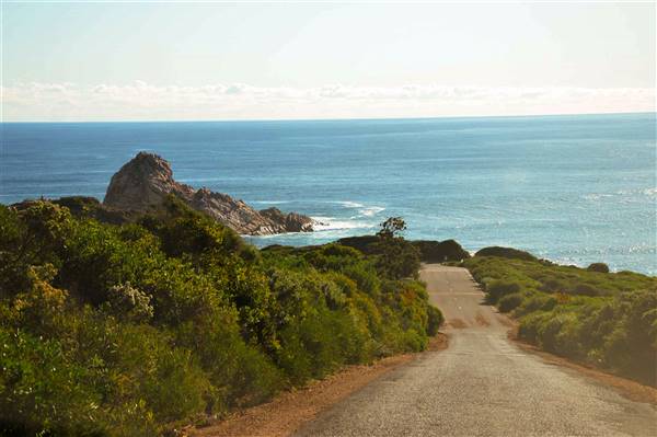 Cape Naturaliste - Sugar Loaf (19/06/2017 - Credits: Duncan Jones)
