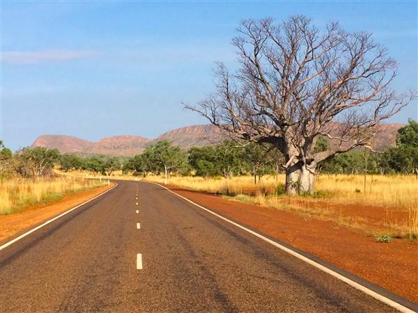 El Questro - Cockburn Range, Kimberley - Near Karunjie Track, near El Questro Stn. (19/07/2017 - Credits: Giancarlo Mazzella)