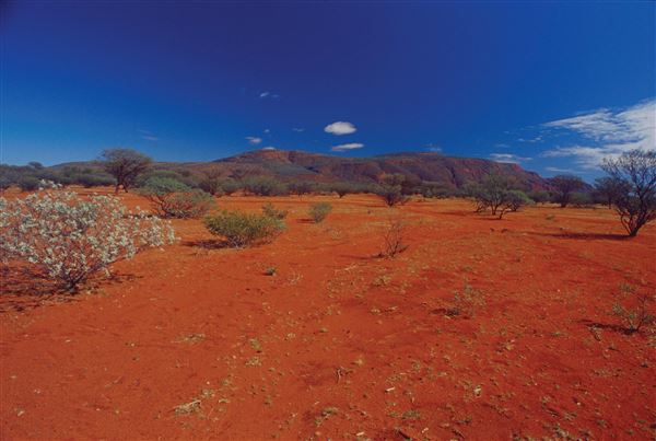 Mt Augustus (15/11/2017 - Credits: Courtesy of Gascoyne Junction Community Resource Centre)