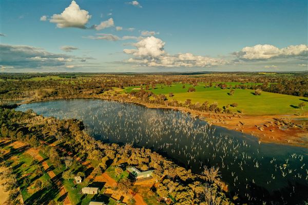 Lake Towerrinning - Back swamp with dead trees and adjacent farm land (14/08/2020 - Credits: Astrid Volzke)
