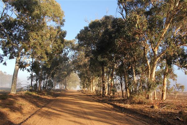 Darkan - Country Roads - Example of country roads (21/05/2020 - Credits: Kerryn Chia)