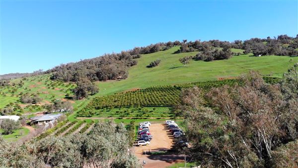 The Orchard Perth Pty Ltd (1/07/2020 - Credits: The Orchard Perth Pty Ltd)