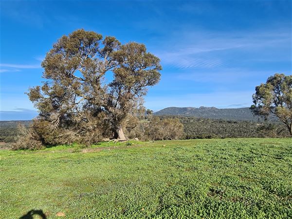 Craigendarroch, Porongurup (2/11/2021 - Credits: CMMS ELPS)