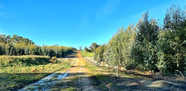 Craigendarroch, Porongurup (2/11/2021 - Credits: CMMS ELPS)