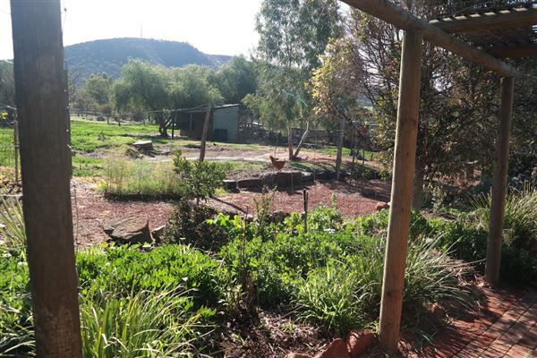 Hope Farm (7/07/2022 - Credits: Claire Burton)