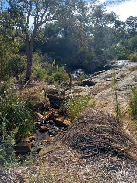 Lesmurdie Falls (2/07/2022 - Credits: Rachael Hawkins)