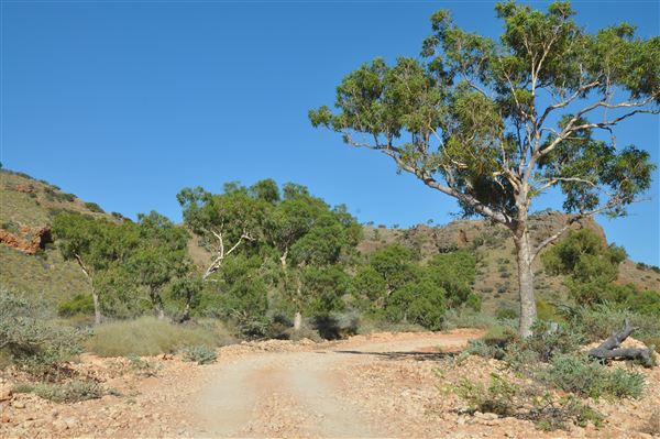 Shothole Canyon (15/12/2021 - Credits: Chris Veerhuis)