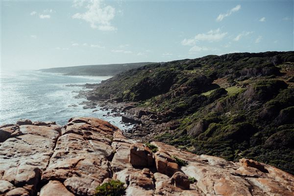 Wilyabrup (15/03/2023 - Credits: Tourism Western Australia)
