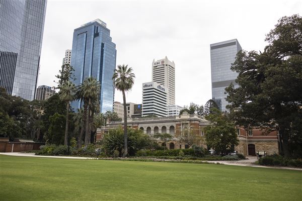 Supreme Court Gardens (18/10/2023 - Credits: Shea Walsh)