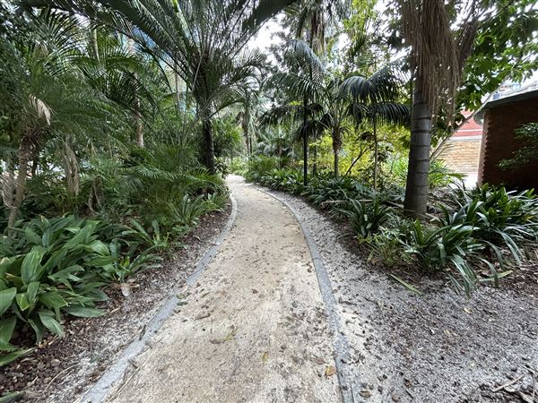 Supreme Court Gardens (18/10/2023 - Credits: Shea Walsh)
