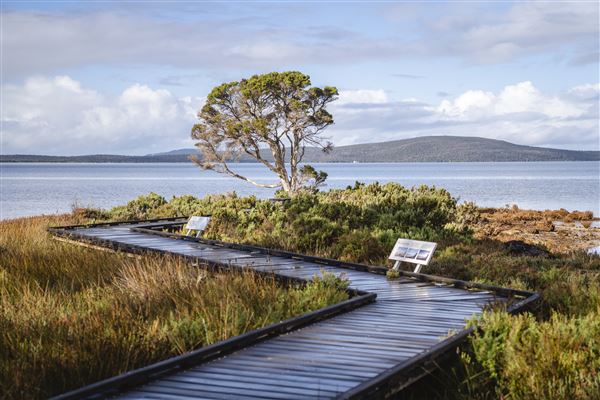 Denmark (8/01/2024 - Credits: Tourism Western Australia)
