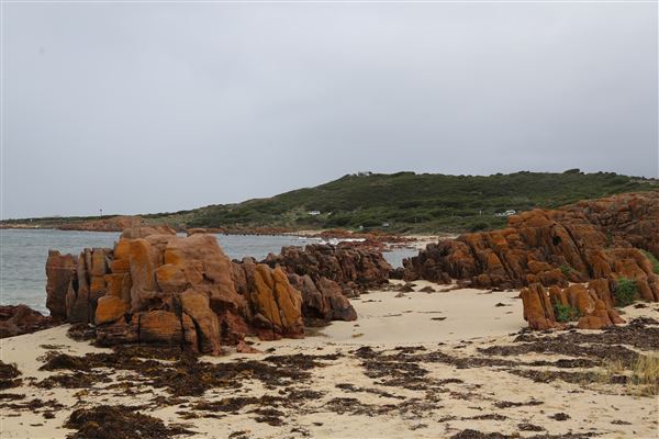 Gracetown (6/06/2023 - Credits: Aidan O'Bryan)