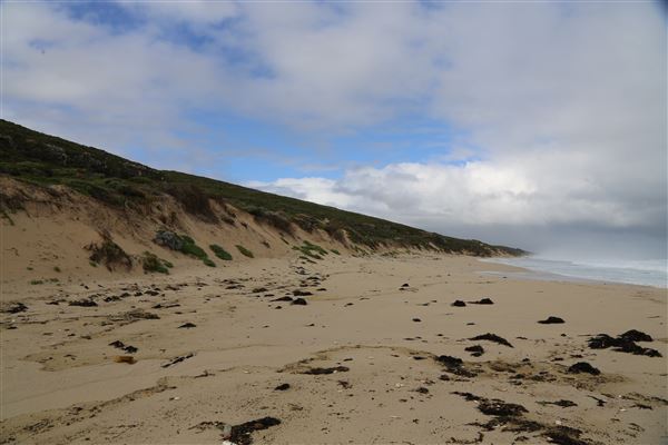 Gracetown (6/06/2023 - Credits: Aidan O'Bryan)