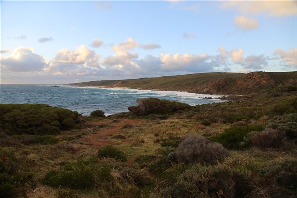 Cape Naturaliste - Sugar Loaf (6/06/2023 - Credits: Aidan O'Bryan)