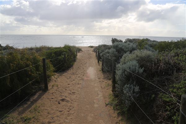 Avalon Beach (6/06/2023 - Credits: Aidan O'Bryan)