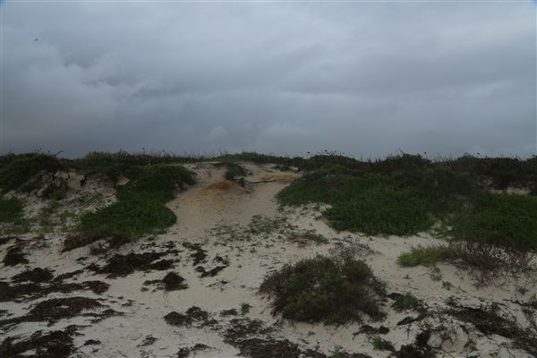 Hangover Bay (6/06/2023 - Credits: Aidan O'Bryan)