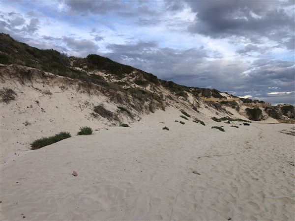 Claytons Beach (6/06/2023 - Credits: Aidan O'Bryan)