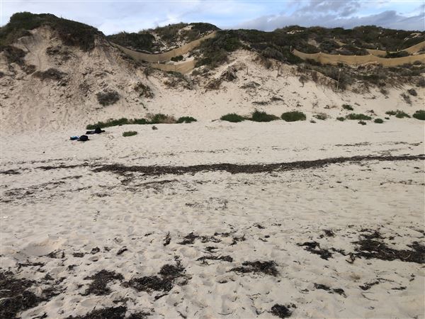 Claytons Beach (6/06/2023 - Credits: Aidan O'Bryan)