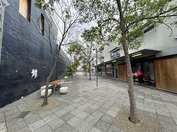 Northbridge precinct (29/09/2023 - Credits: Shea Walsh)