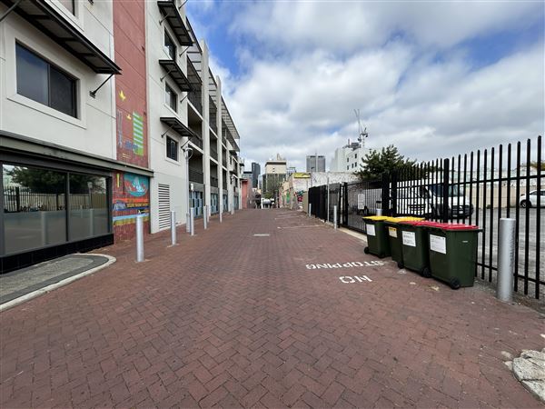 Northbridge precinct (29/09/2023 - Credits: Shea Walsh)