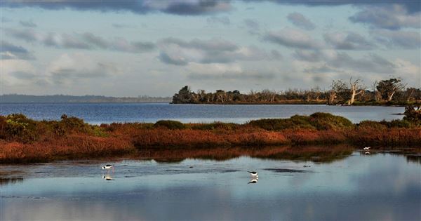 Murray River and Peel-Harvey Estuary (30/05/2024)