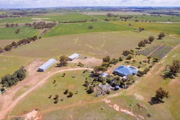Northam (29/07/2024)