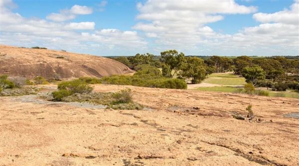 Merredin (30/07/2024)