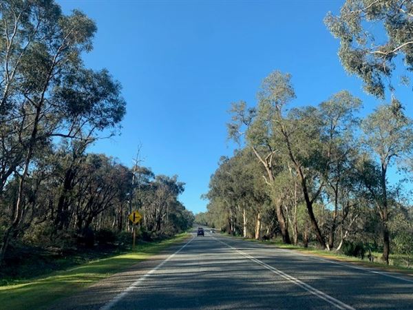 Bakers Hill (3/08/2024 - Credits: Gabrielle Cole)