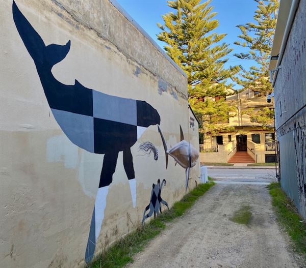Fremantle City (30/08/2024)