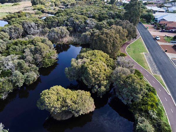 Big Swamp (5/09/2024 - Credits: City of Bunbury)